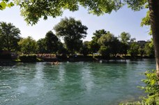 Aare